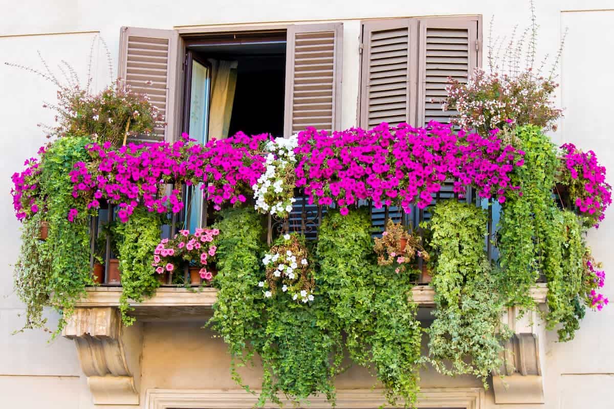 24 Balcony Privacy Ideas Create a Secluded Sanctuary!