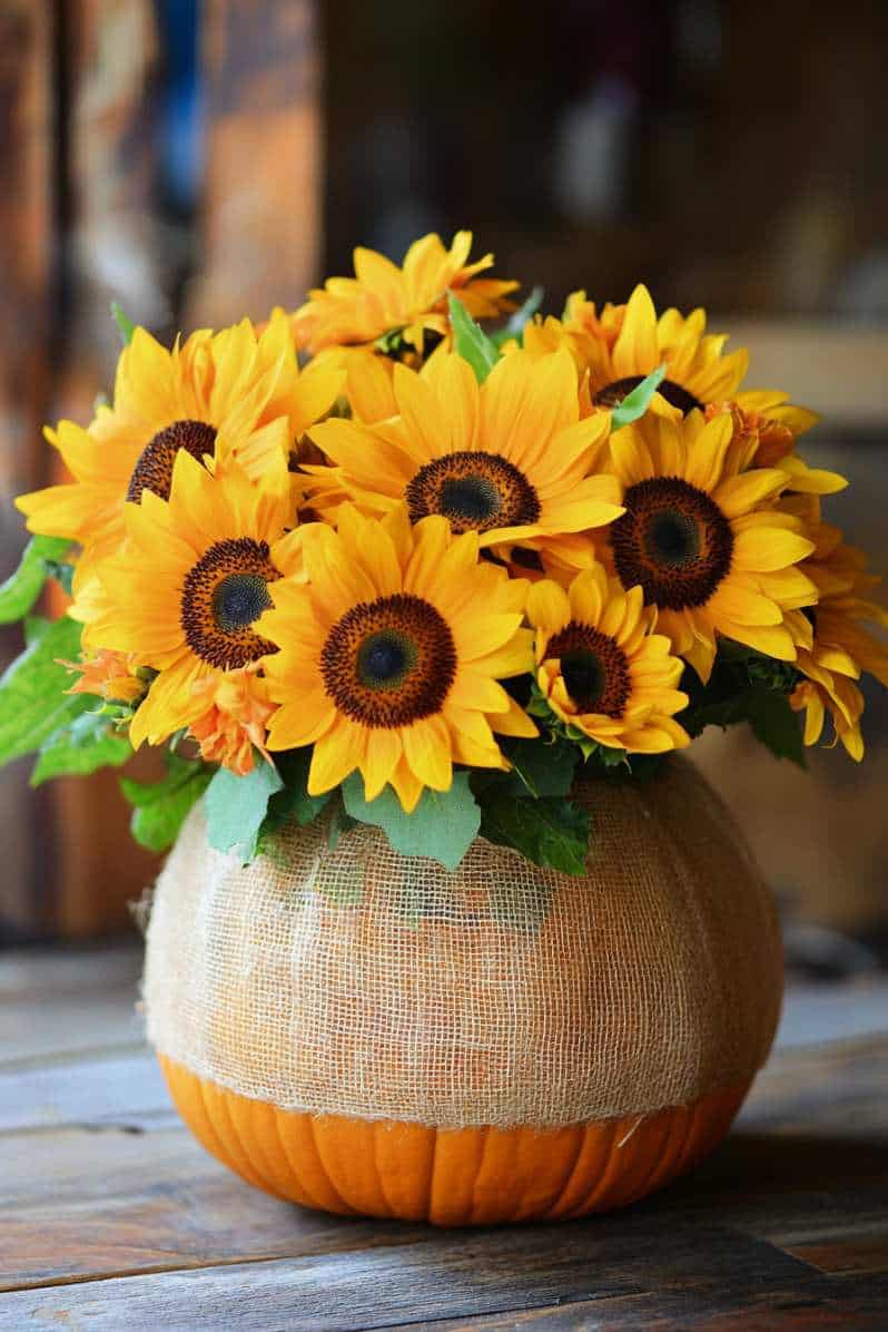 31 Gorgeous Pumpkin Flower Arrangements to Try This Fall