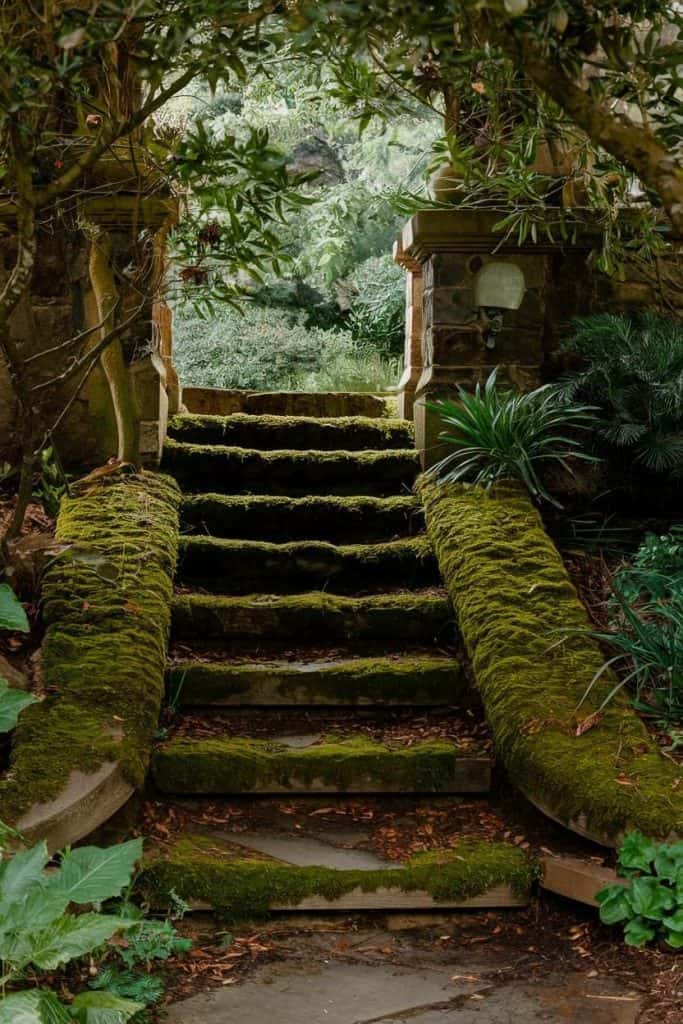 Moss-covered stone steps leading through a garden archway surrounded by lush greenery.