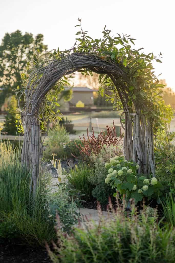 Garden archway made of intertwined branches, surrounded by lush green plants and flowers, with sunlight filtering through.
