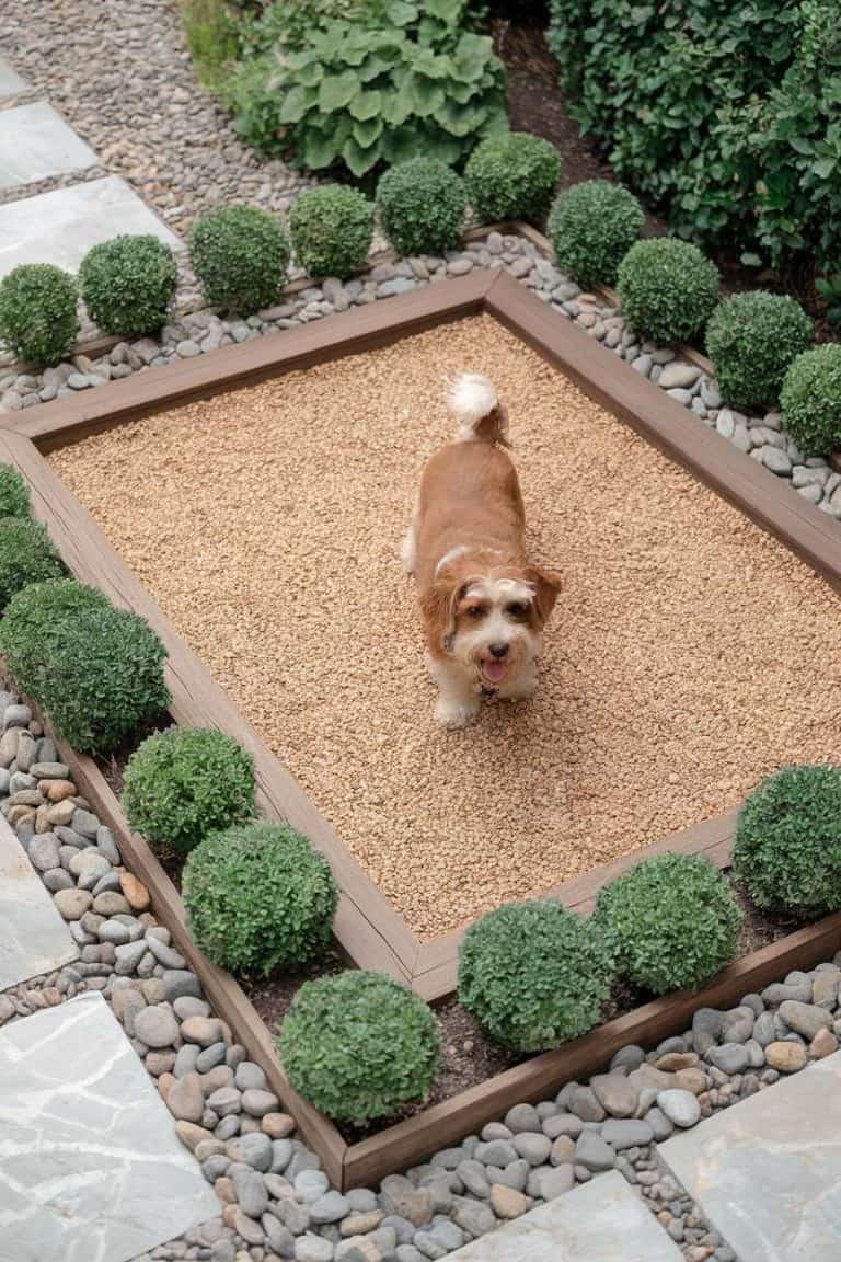 20 Dog-Friendly Backyard Ideas for a Safe and Fun Outdoor Space - Puppy Potty Training In A Small Outdoor Space