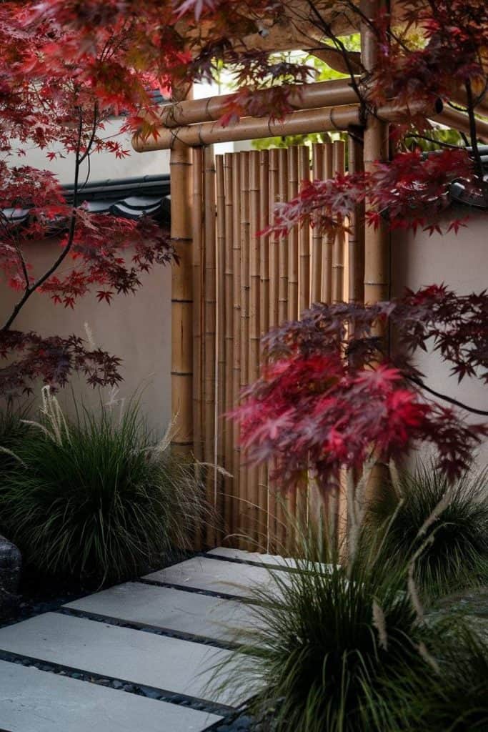 Bamboo gate with ornamental grasses