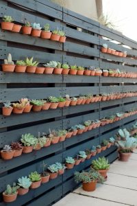 30 Stylish Pallet Fence Ideas for a Beautiful and Functional Yard
