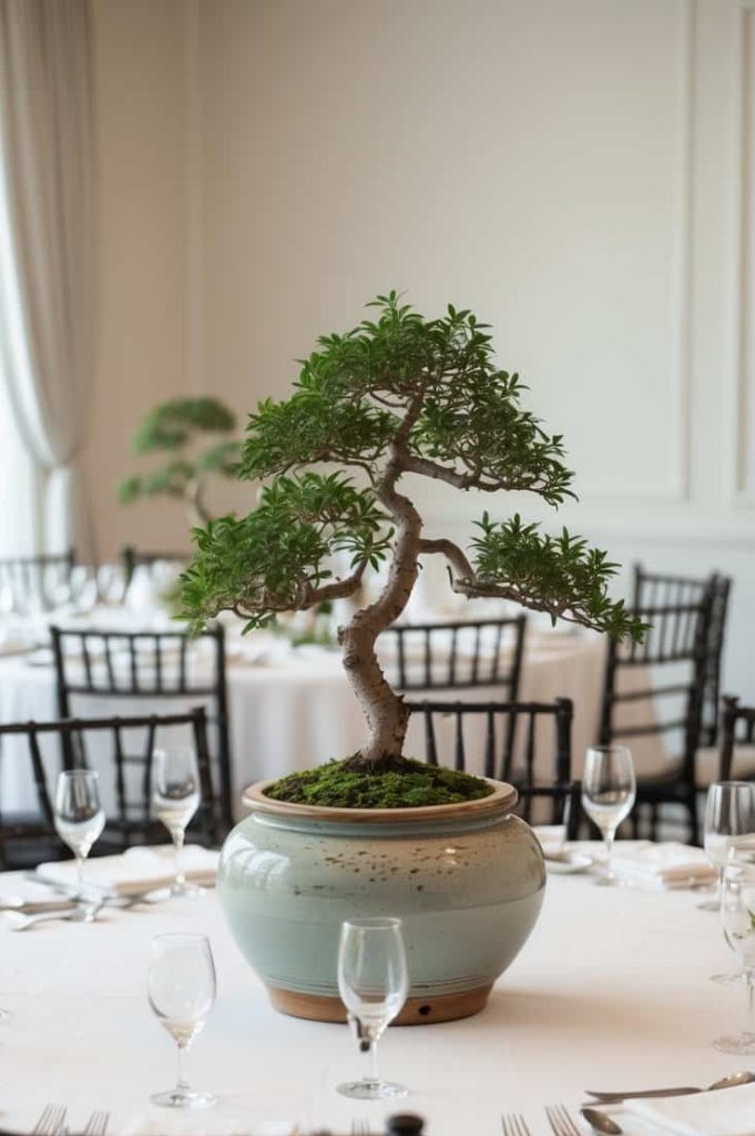 A bonsai tree in a ceramic pot serves as a centerpiece on a round table set for dining, with black chairs and place settings in a bright, elegant room.